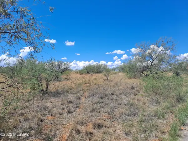 25240 E Patayan Trail #435, Benson, AZ 85602