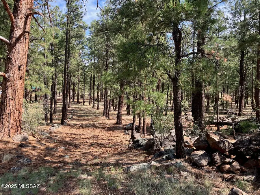 18 N Cr 1045 #103, Eagar, AZ 85925 - Image #2