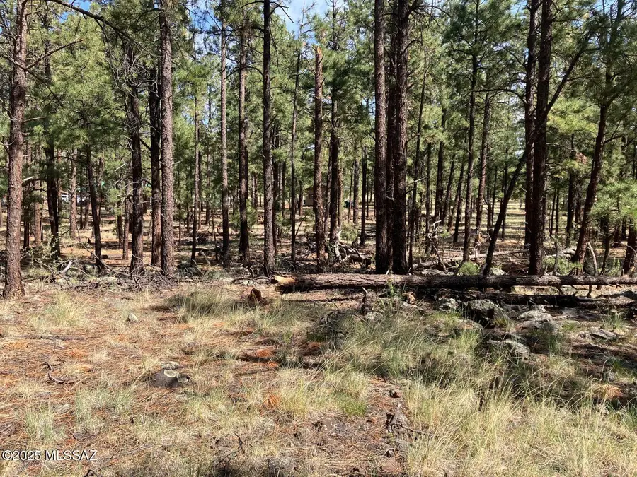 18 N Cr 1045 #103, Eagar, AZ 85925 - Image #3