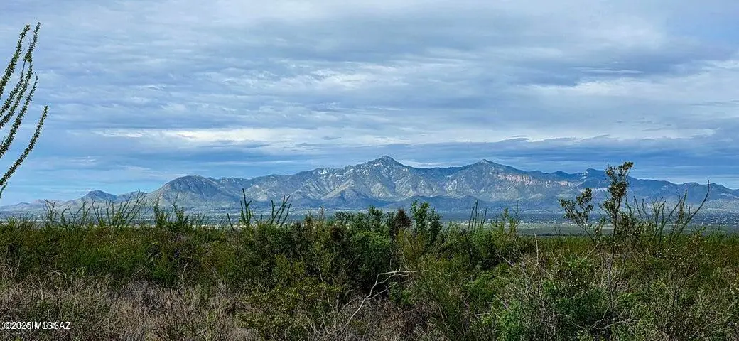 Lots 3 & 4 S Lonesome, Hereford, AZ 85615 - #1