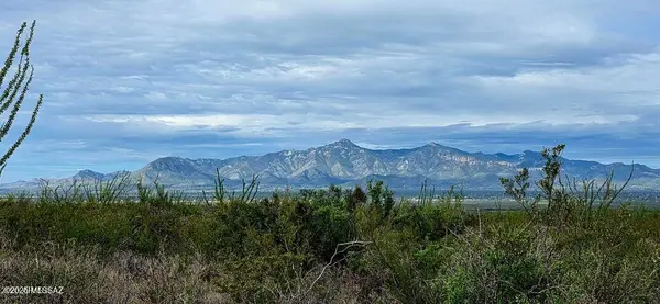 Lots 3 & 4 S Lonesome Drive #3, Hereford, AZ 85615