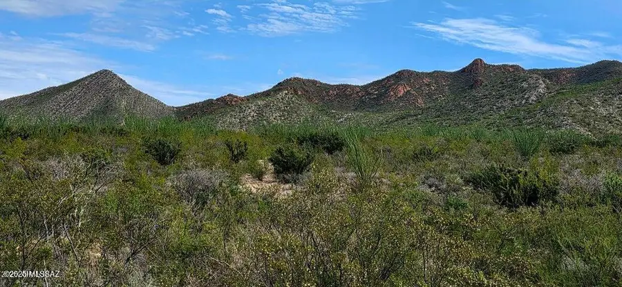 Lots 3 & 4 S Lonesome, Hereford, AZ 85615 - #2
