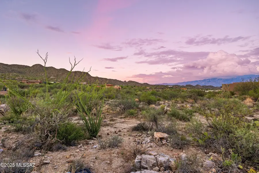 1079 W Tortolita Mountain Circle #170, Oro Valley, AZ 85755 - Image #3