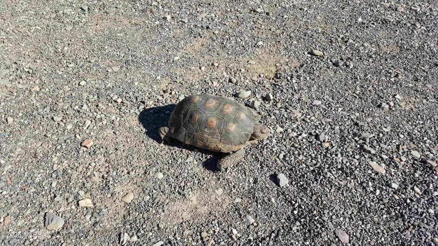 17475 W Curtis Street #17, Marana, AZ 85653 - Image #3