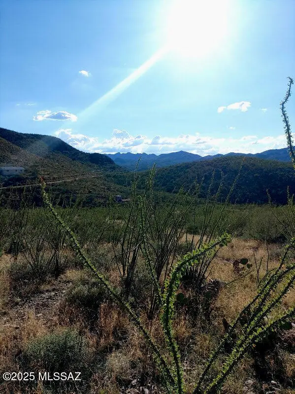 16231 E Hillton Ranch, Vail, AZ 85641 - #2