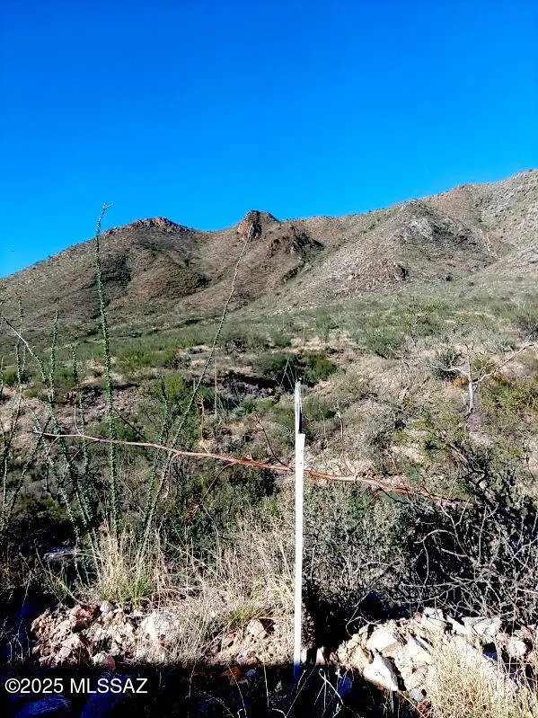 16231 E Hillton Ranch, Vail, AZ 85641 - #3