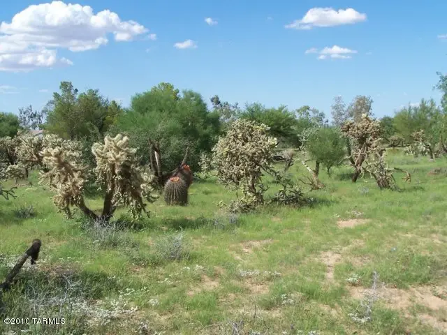 14855 W Lost Valley Loop, Tucson, AZ 85736 - Image #2