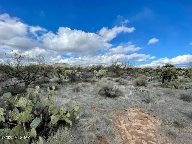 Moore Road, Tucson, AZ 85755 - Image #1