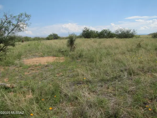 TBD March Street #9, Pearce, AZ 85625