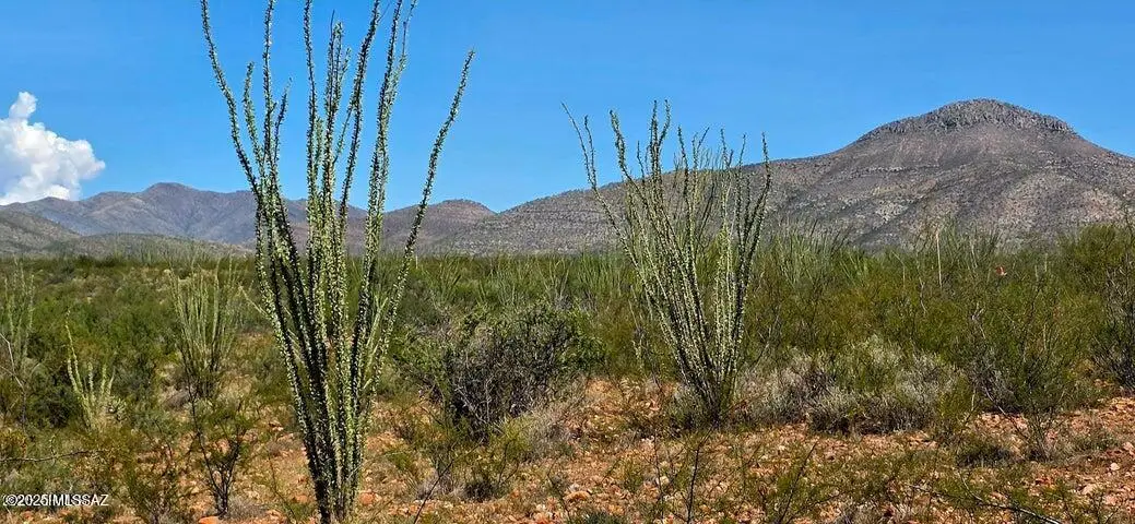 TBD E Beech Craft Boulevard, Bisbee, AZ 85603 - Image #1