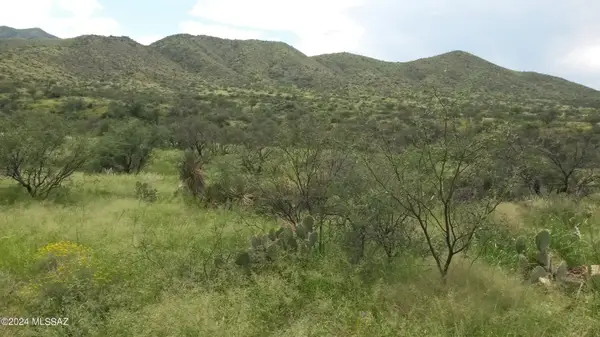 S Goodenough, Vail, AZ 85641