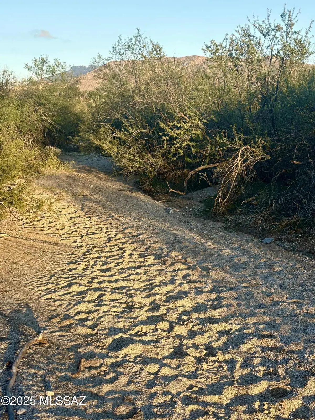 TBD E Placita Rancho Grande, Tucson, AZ 85730 - Image #1