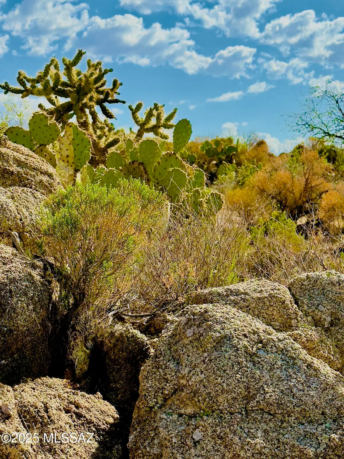 30549 S Charles Road, Oracle, AZ 85623 - Image #1