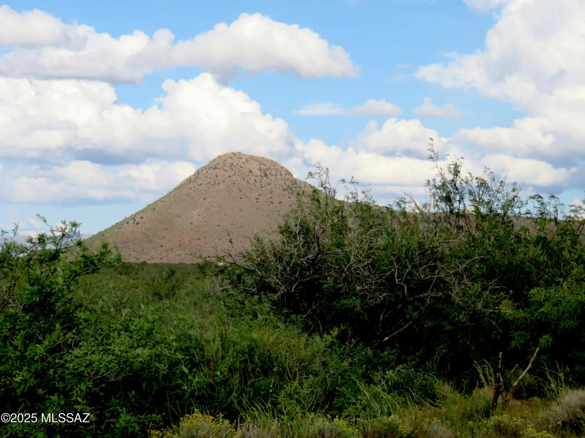 TBD W Austin Henely Road #9, Elfrida, AZ 85610 - Image #1