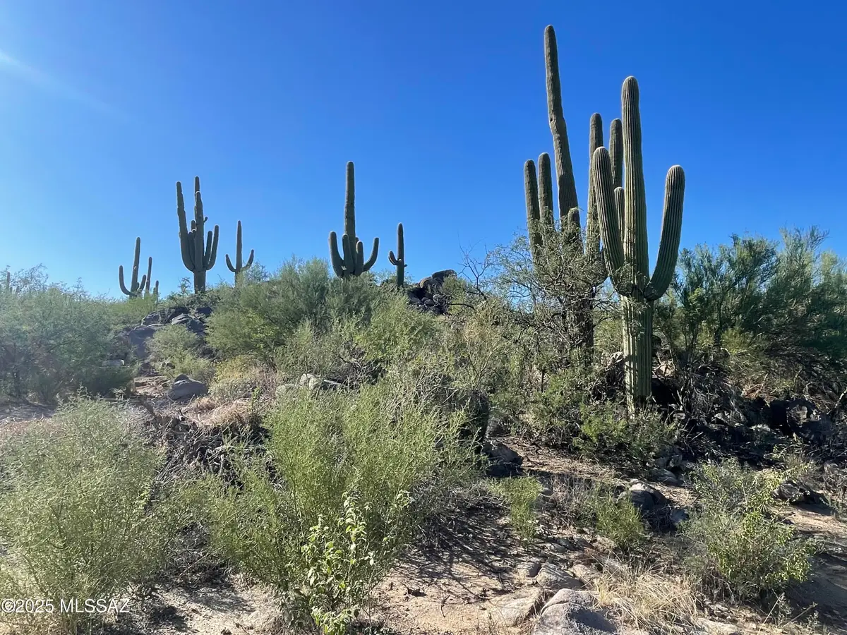 1364 W Tortolita Mountain Circle #313, Oro Valley, AZ 85755 - Image #1