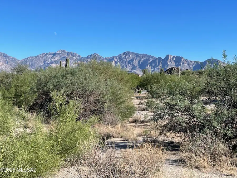 1364 W Tortolita Mountain Circle #313, Oro Valley, AZ 85755 - Image #2