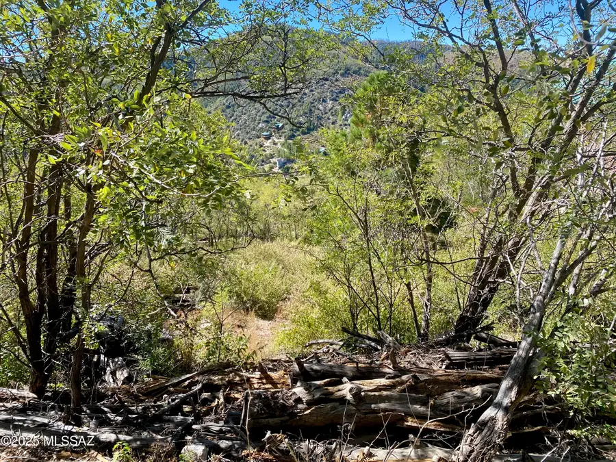 12856 N Ajo, Mount Lemmon, AZ 85619 - Image #3