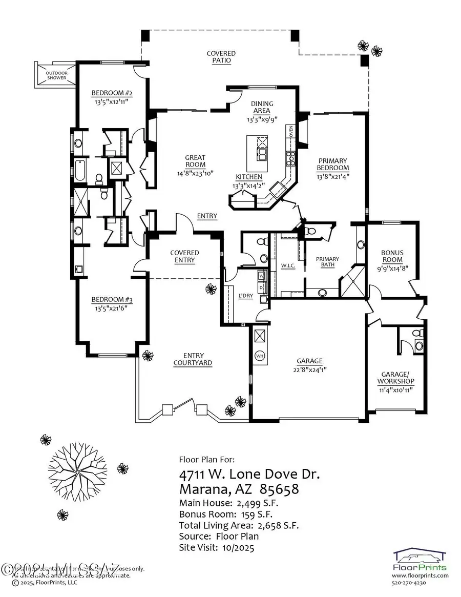 4711 W Lone Dove, Marana, AZ 85658 - Image #3