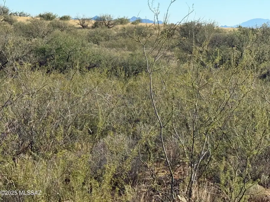Lot 105 E Cottontail Trail, Saint David, AZ 85630 - Image #3