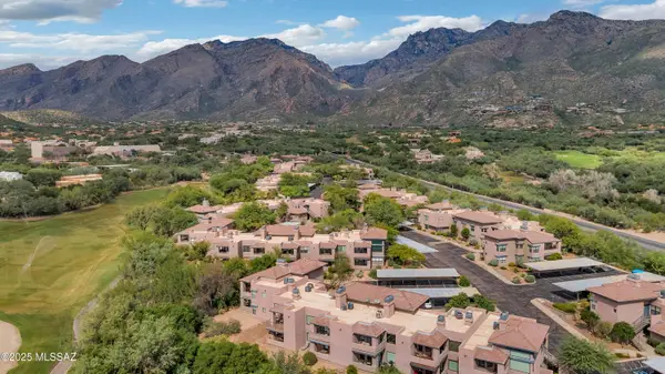 5855 N Kolb Road #6101, Tucson, AZ 85750