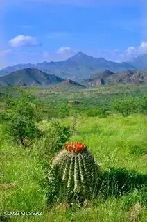 TBD Morning Star Drive, Tubac, AZ 85646 - Image #3