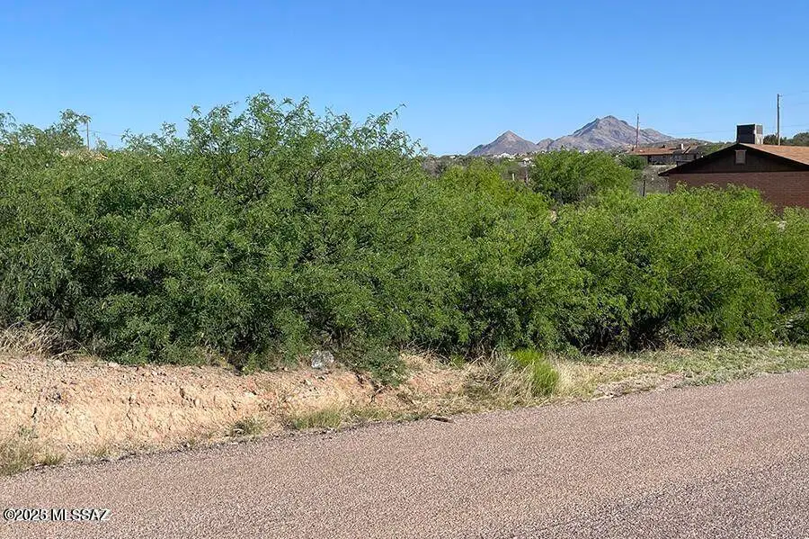 782 Via Tecoripa, Rio Rico, AZ 85648 - Image #1