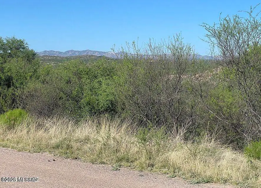 782 Via Tecoripa, Rio Rico, AZ 85648 - Image #2