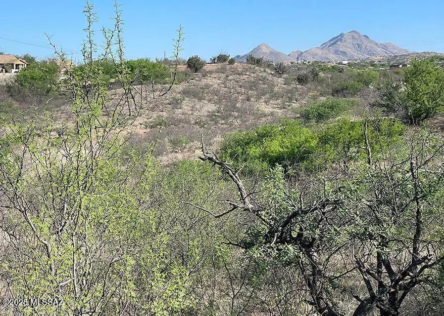 782 Via Tecoripa, Rio Rico, AZ 85648 - Image #3