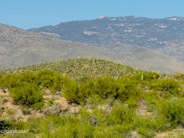 14561 E Rider Ridge Place #399, Vail, AZ 85641