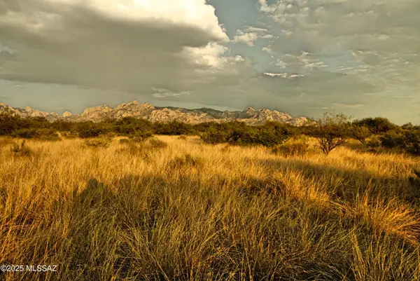 Lot 17 N Dragoon Ranch Road #17, St. David, AZ 85630