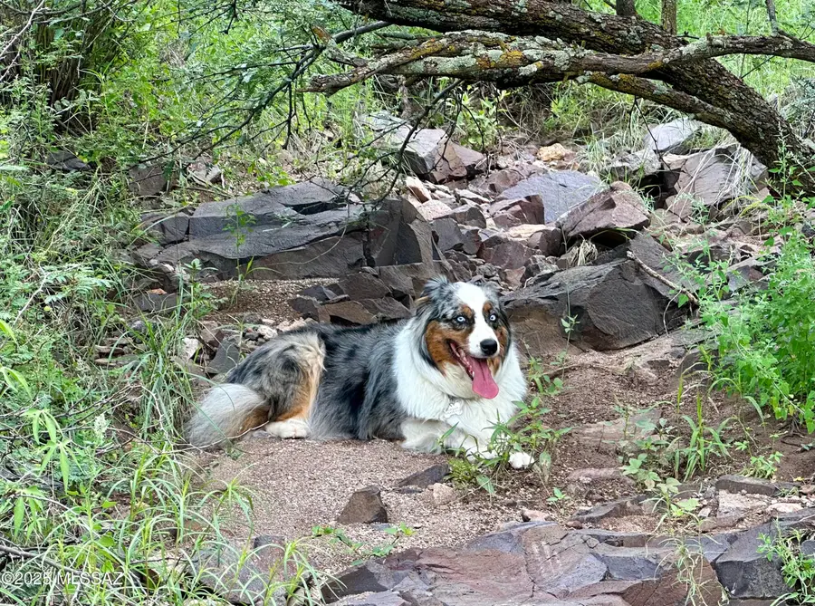 00 Proctor Lane #F-4, Patagonia, AZ 85624 - Image #3