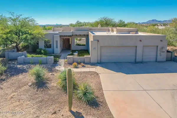13665 N Placita Montanas De Oro, Oro Valley, AZ 85755