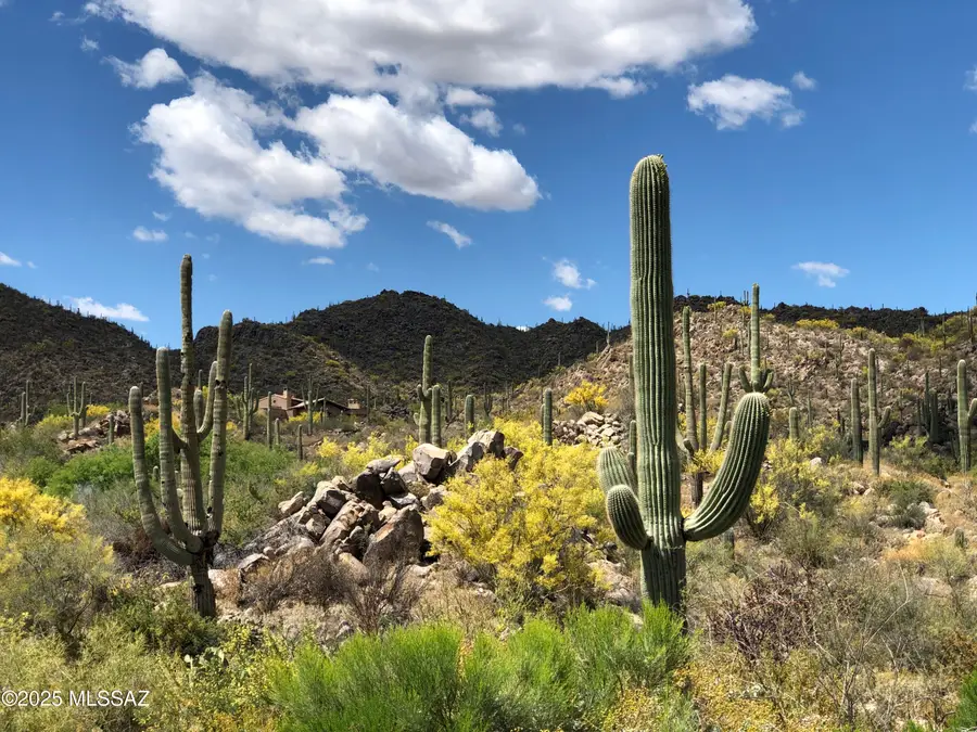 1194 W Tortolita Mountain Circle #194, Tucson, AZ 85755 - Image #2