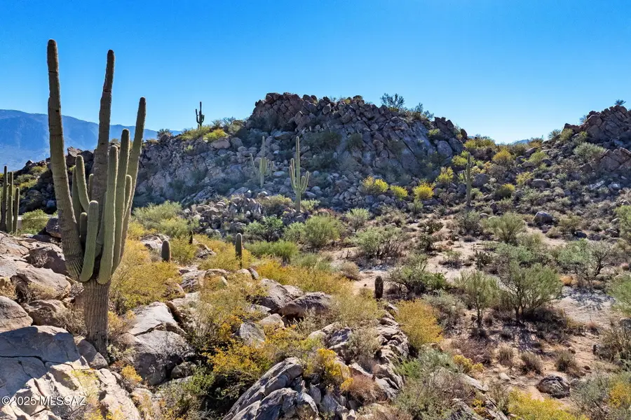 867 W Granite Gorge, Oro Valley, AZ 85755 - Image #3