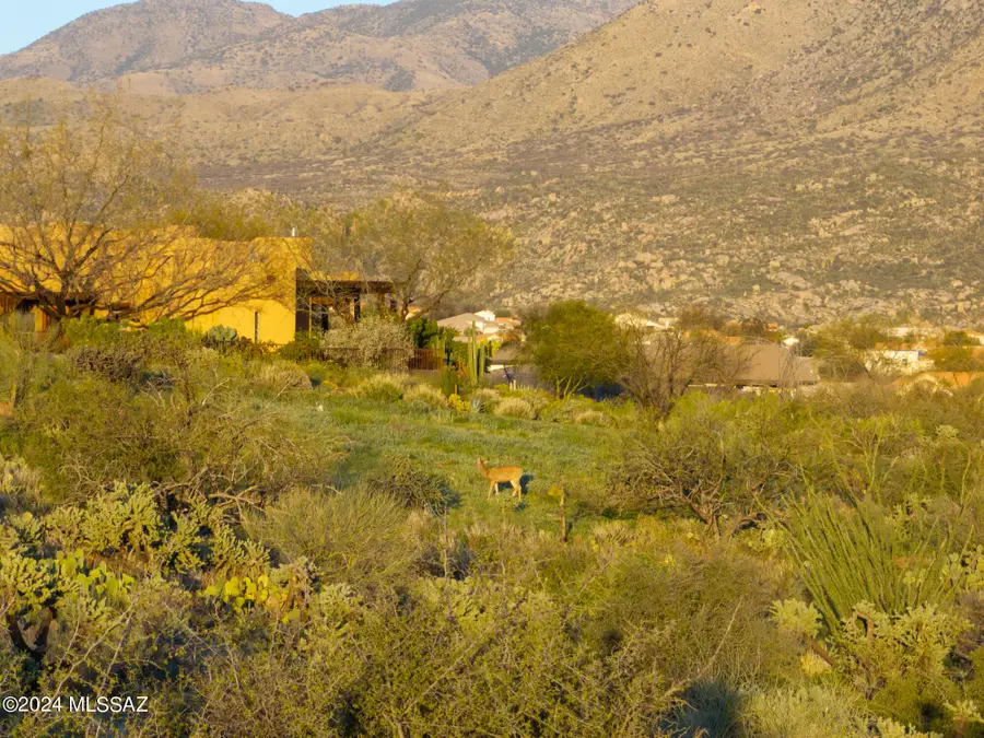 0 E Calle Rosa Linda #4, Saddlebrooke, AZ 85739 - Image #3