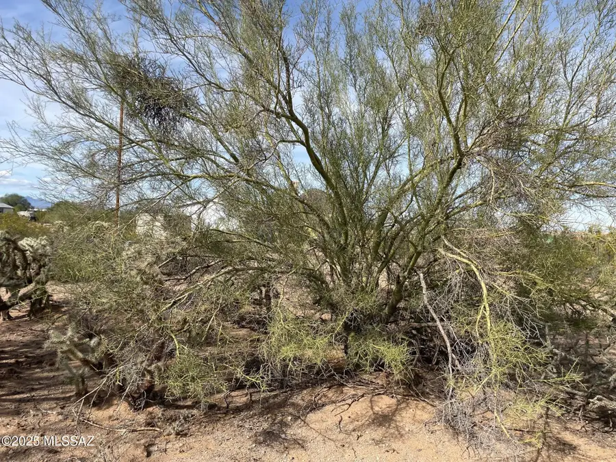 7305 N Van Ark Road #2/B, Tucson, AZ 85743 - Image #3