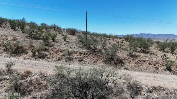 1755 Ruta Caravela #60, Rio Rico, AZ 85648