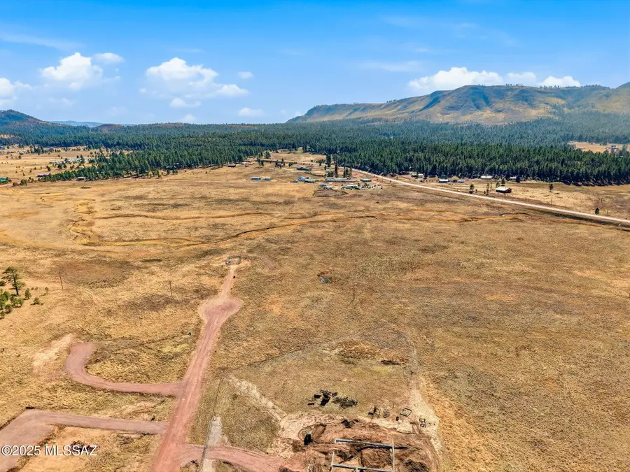 Lot 25 The Ranch At Alpine #25, Eagar Springerville, AZ 85920 - Image #3