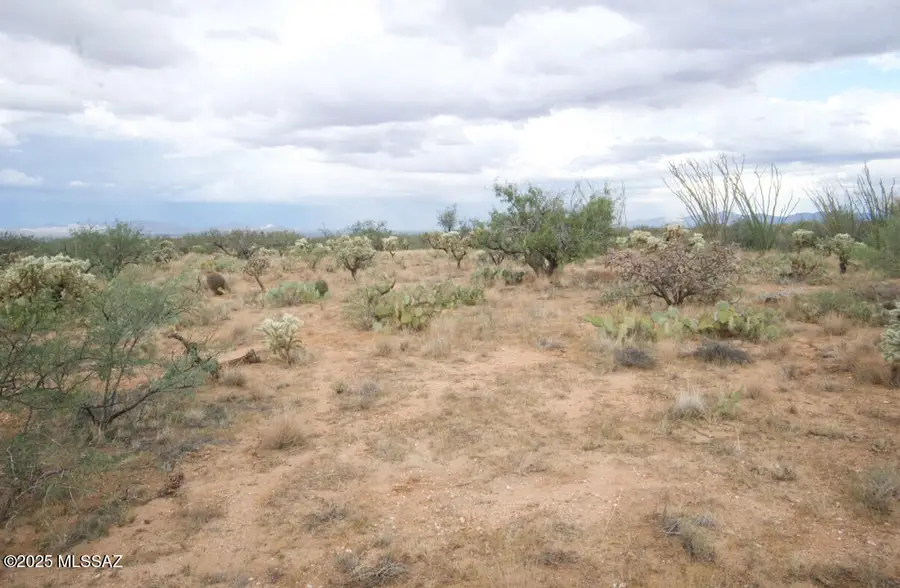 14536 W Diamond Bell Ranch Road #406, Tucson, AZ 85736 - Image #3