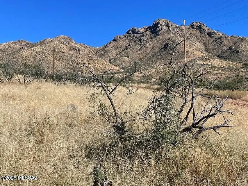 394 Esponja, Rio Rico, AZ 85648 - Image #3