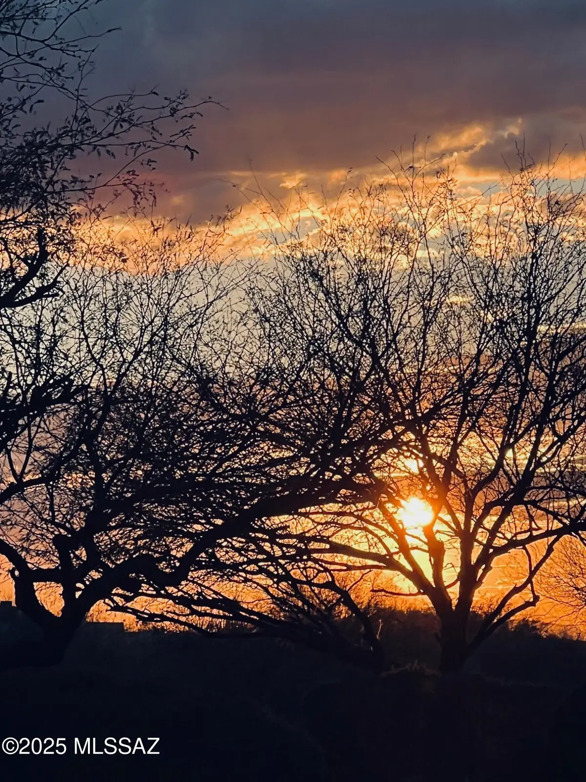 8984 S Placita Gama, Vail, AZ 85641 - Image #1