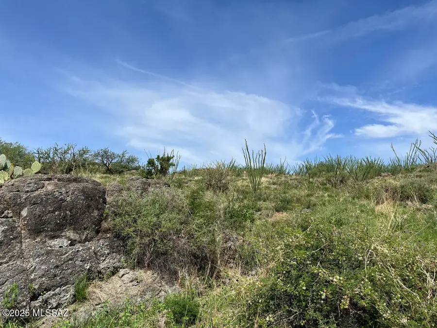 XX Doc Hudson Ct, Tubac, AZ 85646 - Image #2