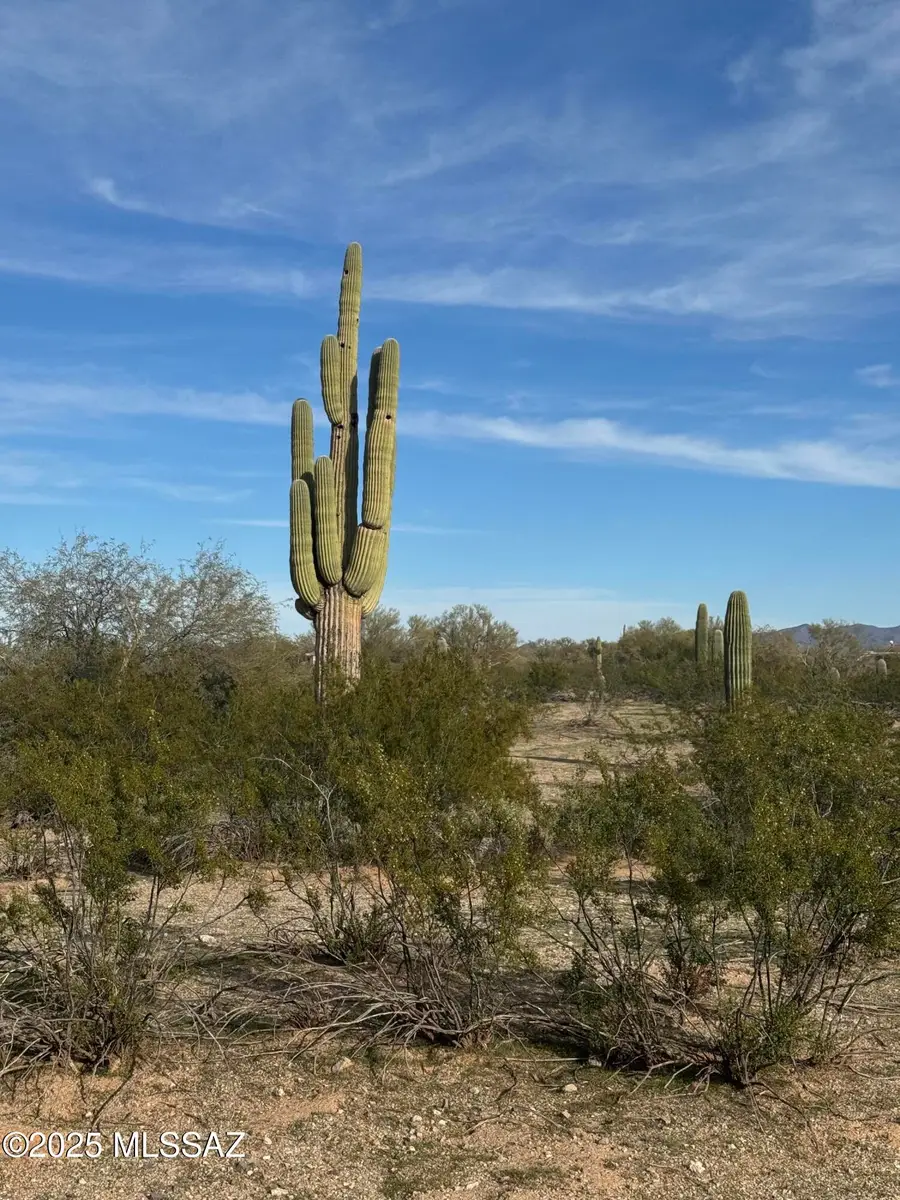 XXX E Escondido, Marana, AZ 85658 - #2