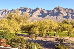 1465 W Bridalveil Place, Tucson, AZ 85737 - Image #2