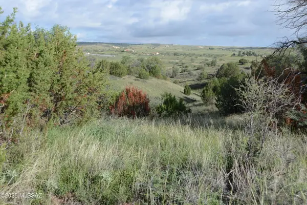 00 Kellogg Lane, Sonoita, AZ 85637