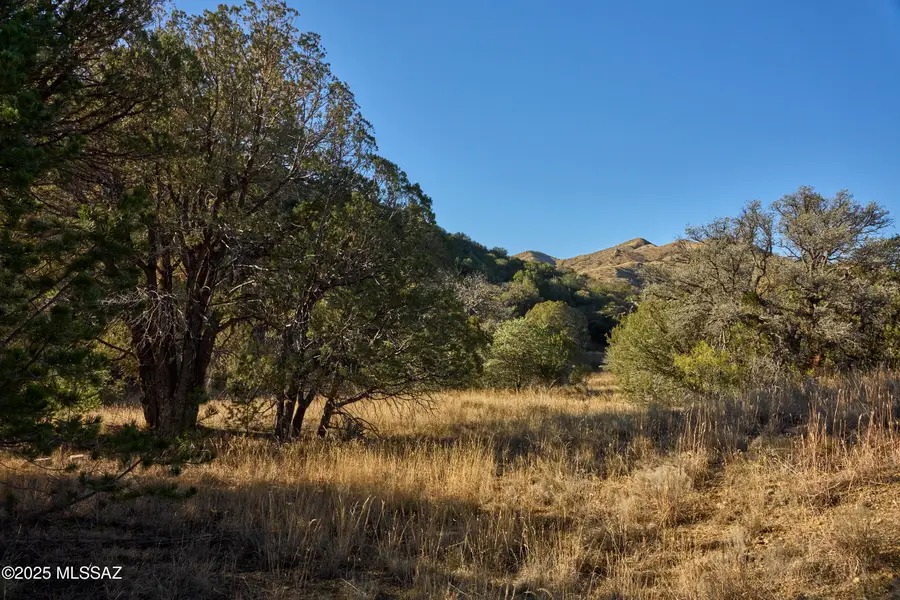 TBD Paradise, Portal, AZ 85632 - #2