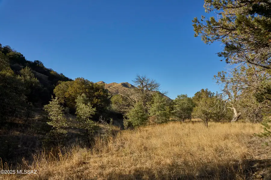 TBD Paradise, Portal, AZ 85632 - #3