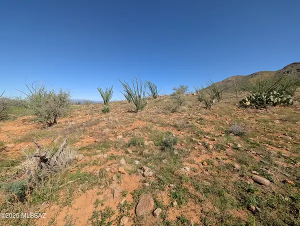 384 Esponja Court #90, Rio Rico, AZ 85648