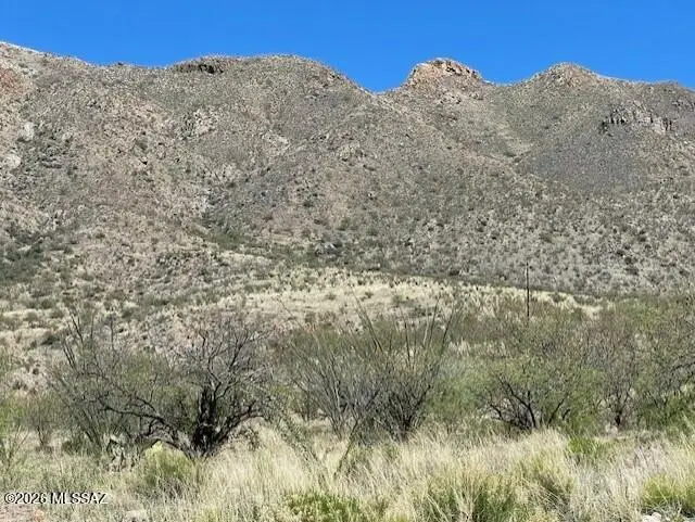 1555 Via San Cayetano, Rio Rico, AZ 85648 - Image #2