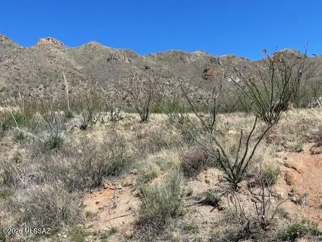 1555 Via San Cayetano, Rio Rico, AZ 85648 - Image #3